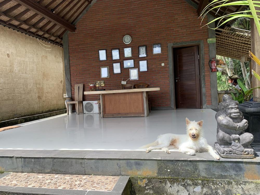 Pajar House Ubud Suite & Villas Eksteriør bilde