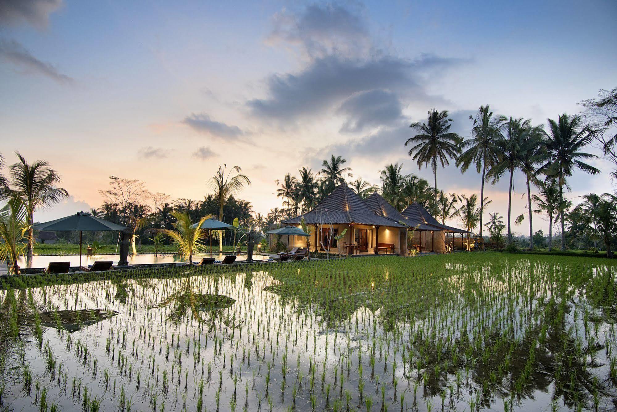 Pajar House Ubud Suite & Villas Eksteriør bilde