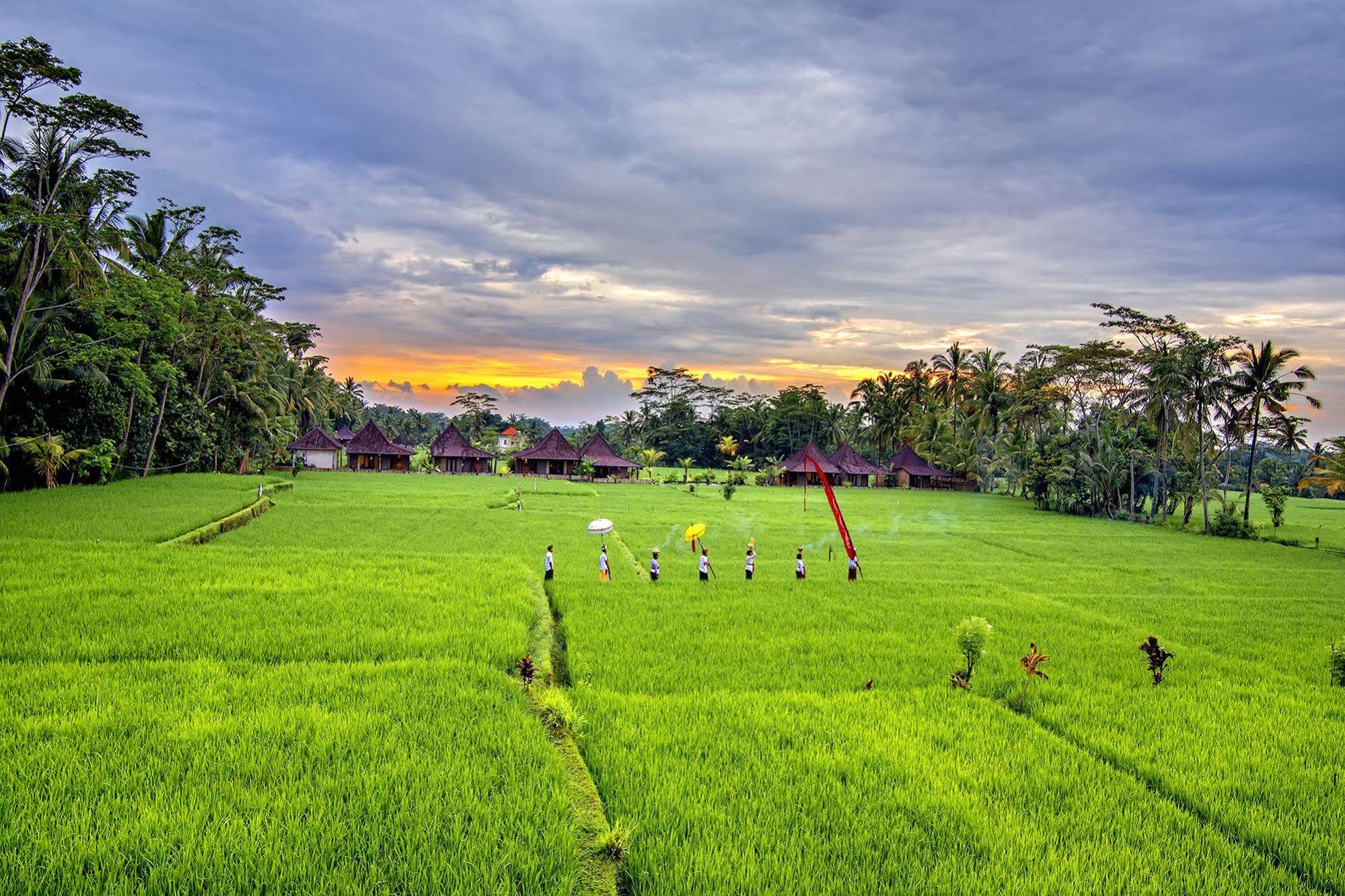 Pajar House Ubud Suite & Villas Eksteriør bilde