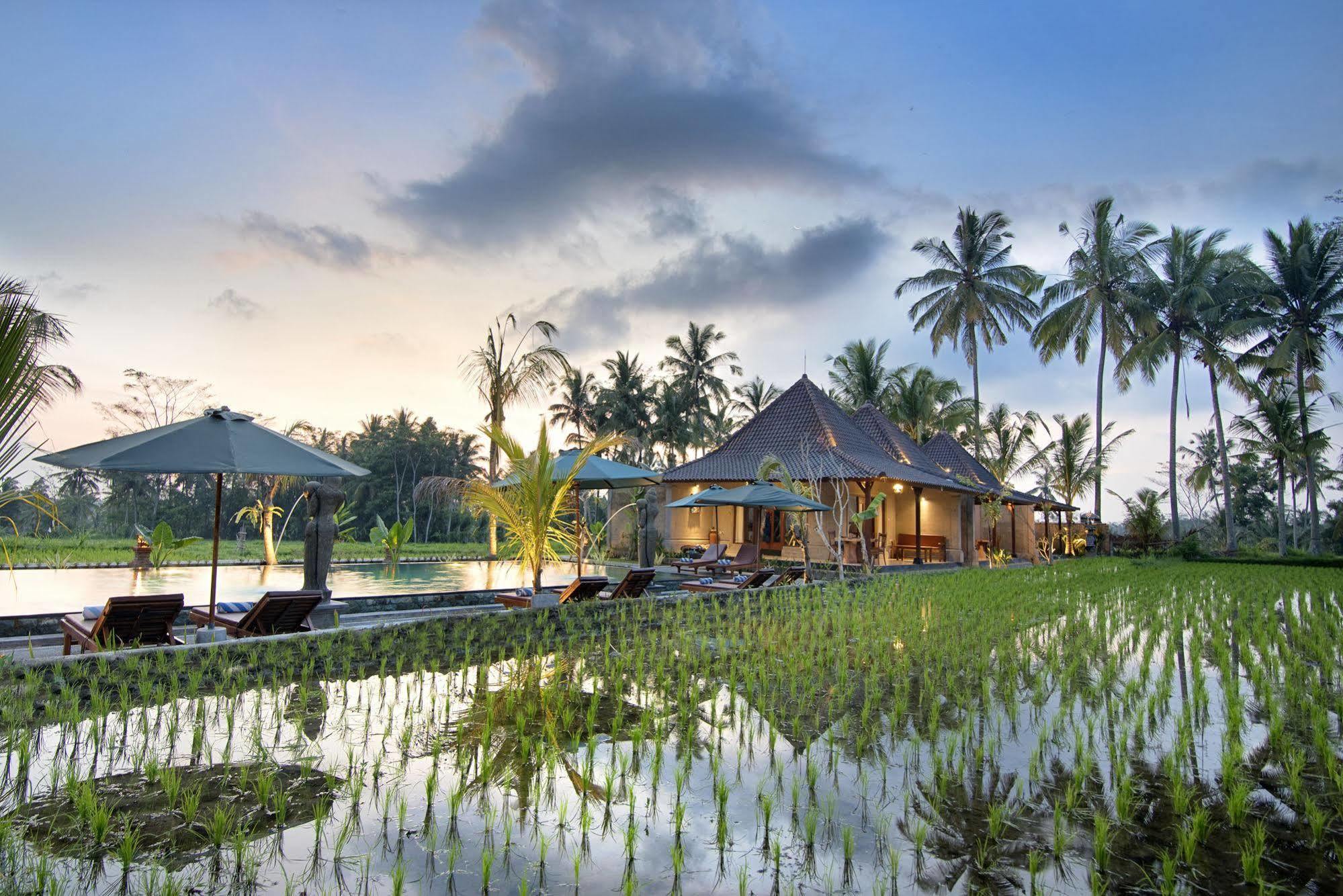 Pajar House Ubud Suite & Villas Eksteriør bilde
