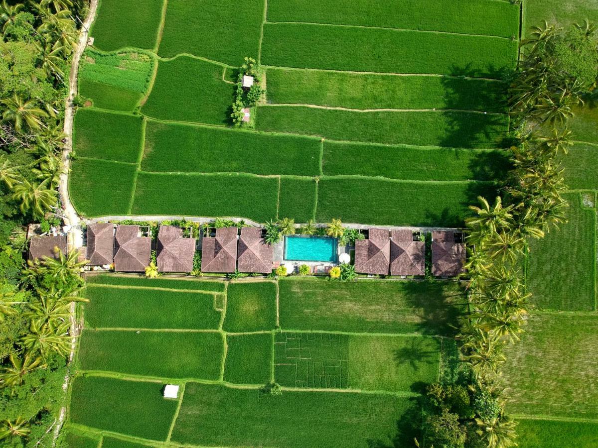 Pajar House Ubud Suite & Villas Eksteriør bilde